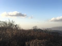 -凤凰山国家森林公园