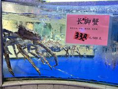 -骏丰酒楼(黄编店)
