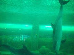 -波塞冬旅游度假区