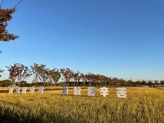 -嘉北郊野公园
