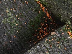 -涞滩古镇