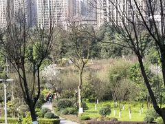 -龙头寺公园