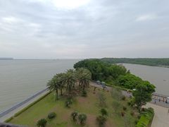 -大湾区中央湿地公园