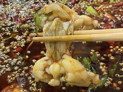 -大众美蛙鱼头(民心佳园总店)