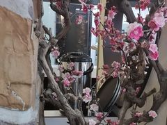 -上地宴·中关村的会客厅(清河高铁站店)