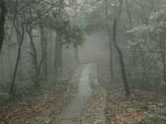 android_upload_pic-西湖风景区十里琅珰-五云山