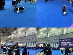 -重庆国际会议展览中心