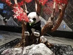 -红辣椒·川菜·火锅(大洋中心店)