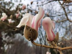 -国家大剧院-停车场
