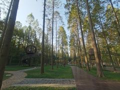 -黄海国家森林公园