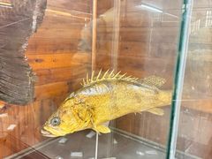 -南京金牛湖风景区