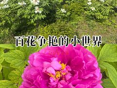 -郑州新郑国际机场