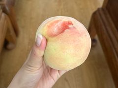 -老袁家蜜桃农场·阳山水蜜桃