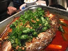 青椒紫苏味-龙门烤鱼(东方宝泰店)
