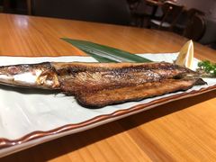 -锦鲤堂日本料理(莱茵之星店)