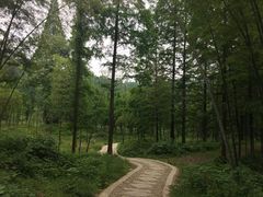 -天花井景区