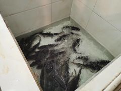 -贡椒鱼老店·雅安十大名店