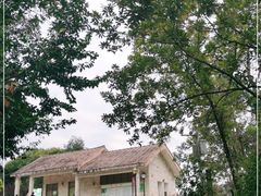 -广州市流溪河国家森林公园