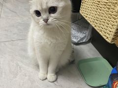 -佳雯宠物医院(信河分店)