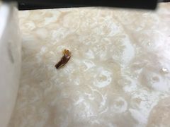 -华威达牛庄(黄埔大道西店)