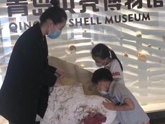 -青岛贝壳博物馆