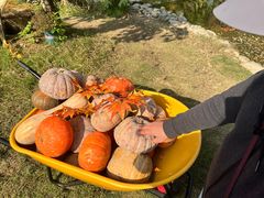 -HERRE·FARM 赫尔露营农场·团建聚会包场