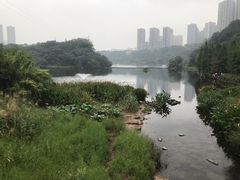 -重庆彩云湖湿地公园