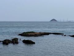 -爱情邮局