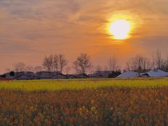 -中国天府农业博览园