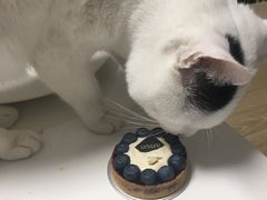 -UNI UNI(环亚凯瑟琳店)