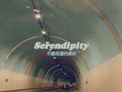 -江南天池