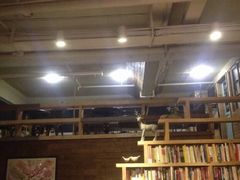 -在咖啡INCOFFEE(ICC升龙环球中心店)