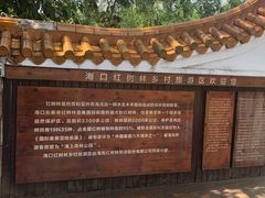 -东寨港红树林旅游区