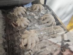 -铭聚章鱼土笋冻(松柏店)