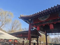 -尚庄度假村·庭台树下·户外烧烤·团建CS·轰趴营地(上庄水库店)