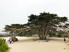 -卡梅尔海
