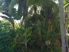 -白沙门生态公园