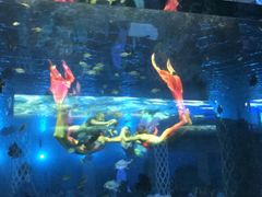 -瑞德姆美人鱼海底演艺主题餐厅(亚龙湾店)
