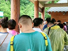 -牛背梁国家森林公园