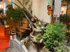 -大理董·董家小厨野生菌火锅(古城旗舰店)