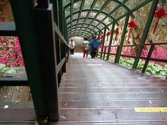-京东石林峡风景区