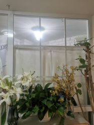 -新雨池不针清祛痘