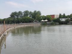 -溱湖国家湿地公园