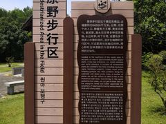 -大湾区中央湿地公园