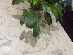 -沪碟·精菜坊(闵行店)