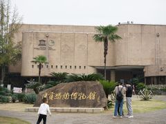 -自贡恐龙博物馆