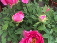 -狼山风景名胜区