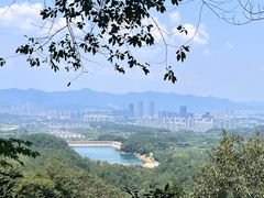 -大奇山国家森林公园
