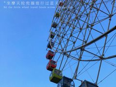 -温州乐园