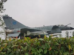 -成飞公园